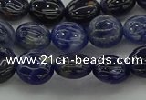 CSO670 15.5 inches 10mm flat round sodalite gemstone beads