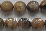 CSS100 15.5 inches 16mm faceted round natural sunstone beads wholesale