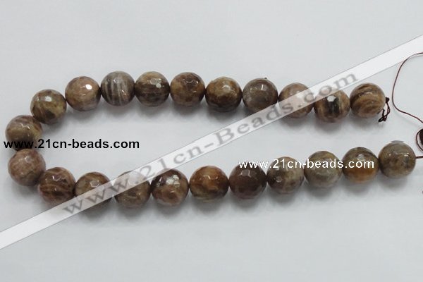 CSS101 15.5 inches 18mm faceted round natural sunstone beads wholesale