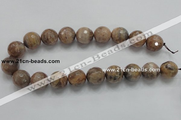 CSS102 15.5 inches 20mm faceted round natural sunstone beads wholesale