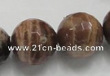 CSS103 15.5 inches 22mm faceted round natural sunstone beads wholesale