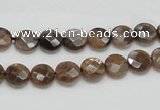 CSS104 15.5 inches 8mm faceted coin natural sunstone beads wholesale