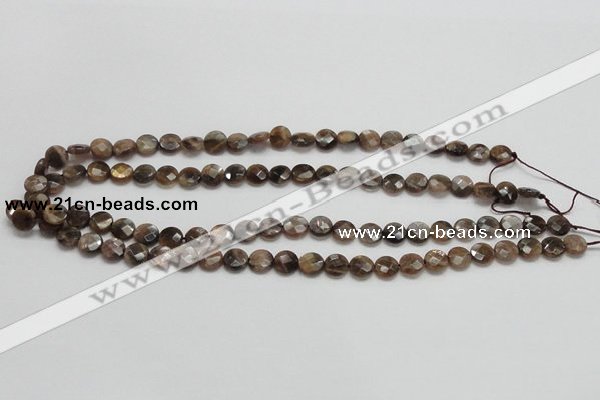 CSS104 15.5 inches 8mm faceted coin natural sunstone beads wholesale