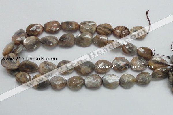 CSS111 15.5 inches faceted freeform natural sunstone beads wholesale