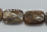 CSS114 15.5 inches 18*25mm faceted rectangle natural sunstone beads