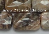 CSS115 15.5 inches 20*30mm faceted rectangle natural sunstone beads