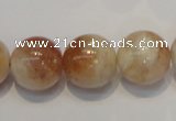 CSS20 15.5 inches 16mm round natural sunstone beads wholesale