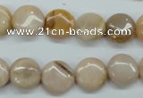 CSS203 15.5 inches 12mm flat round natural sunstone beads