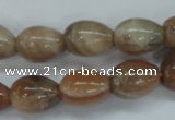 CSS248 15.5 inches 12*16mm teardrop natural sunstone beads