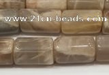 CSS400 15.5 inches 8*10mm - 8*13mm tube sunstone beads wholesale