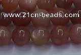 CSS663 15.5 inches 10mm round sunstone gemstone beads wholesale