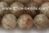 CSS723 15.5 inches 10mm round sunstone beads wholesale