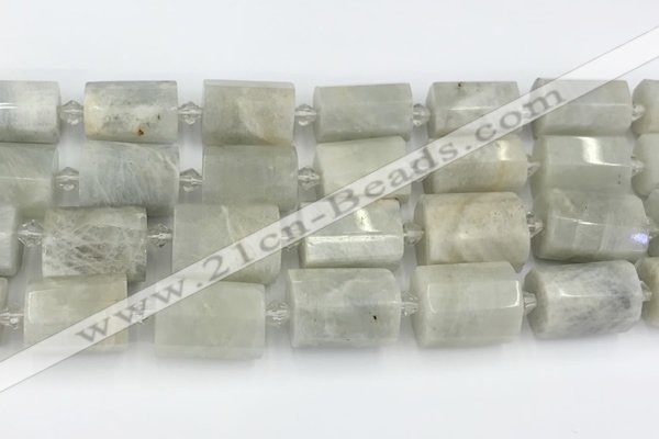 CTB876 13*25mm - 14*19mm faceted tube moonstone beads