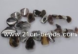 CTD1618 Top drilled 15*25mm - 30*45mm freeform botswana agate beads