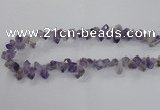 CTD1641 Top drilled 10*14mm - 10*18mm faceted nuggets amethyst beads