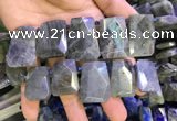 CTD2105 Top drilled 20*28mm - 22*32mm faceted freeform labradorite beads