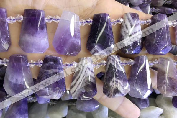 CTD2339 Top drilled 16*18mm - 20*30mm freeform dogtooth amethyst beads