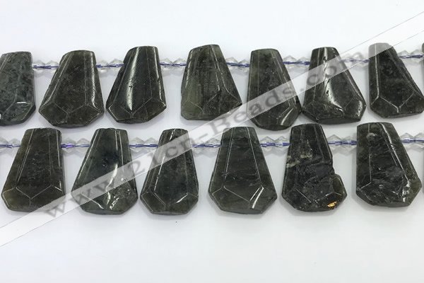 CTD2353 Top drilled 16*18mm - 20*30mm faceted freeform labradorite beads