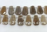 CTD2363 Top drilled 16*18mm - 20*30mm faceted freeform moonstone beads