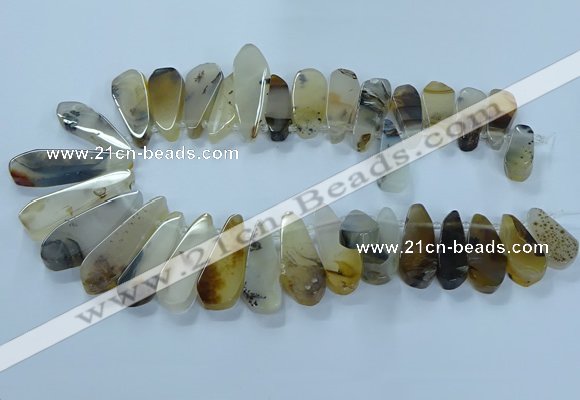 CTD2708 15.5 inches 10*25mm - 18*50mm freeform montana agate beads