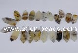CTD2734 Top drilled 15*28mm - 18*45mm freeform montana agate beads