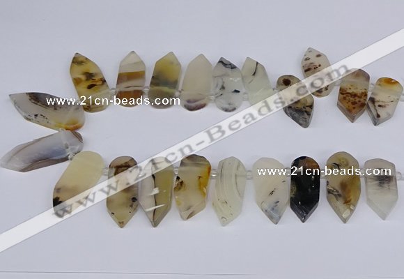 CTD2734 Top drilled 15*28mm - 18*45mm freeform montana agate beads