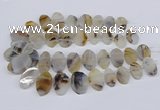 CTD2825 Top drilled 15*25mm - 25*35mm freeform Montana agate beads