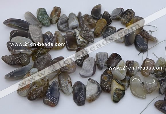 CTD3525 Top drilled 12*20mm - 15*40mm freeform botswana agate beads