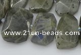 CTD3573 15.5 inches 15*20mm - 18*25mm freeform labradorite beads