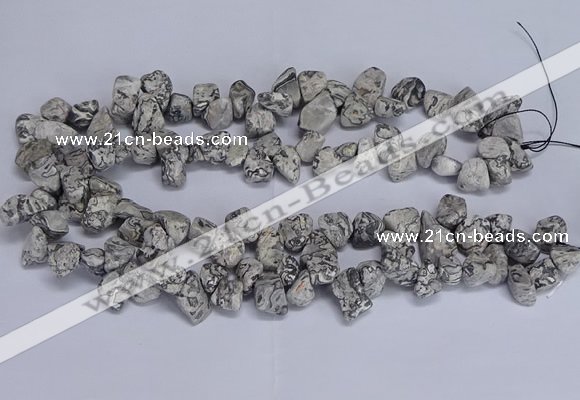 CTD3614 Top drilled 10*14mm - 13*18mm nuggets grey picture jasper beads