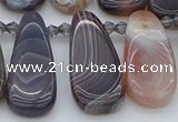 CTD3647 Top drilled 10*20mm - 15*45mm freeform matte botswana agate beads