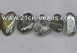 CTD3672 Top drilled 5*8mm - 10*14mm freeform plated white crystal beads