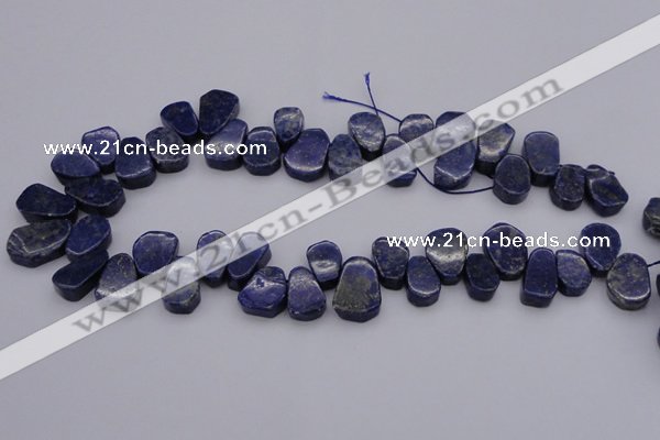 CTD377 Top drilled 10*14mm - 15*20mm freeform lapis lzuli beads