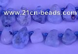 CTD3859 Top drilled 6*8mm - 10*12mm freeform larimar beads