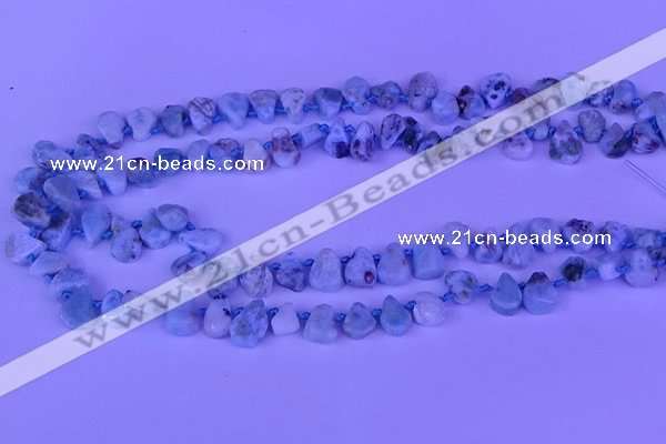 CTD3859 Top drilled 6*8mm - 10*12mm freeform larimar beads