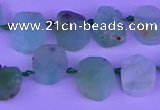 CTD3894 Top drilled 10*12mm - 10*14mm freeform Australia chrysoprase beads
