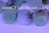 CTD3896 Top drilled 12*16mm - 13*18mm freeform Australia chrysoprase beads