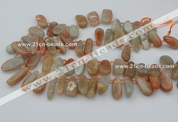 CTD447 Top drilled 10*20mm - 15*30mm freeform moonstone beads