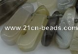 CTD465 15.5 inches 12*25mm - 15*45mm freeform grey agate beads