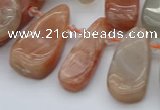 CTD485 Top drilled 10*22mm - 15*45mm freeform moonstone beads