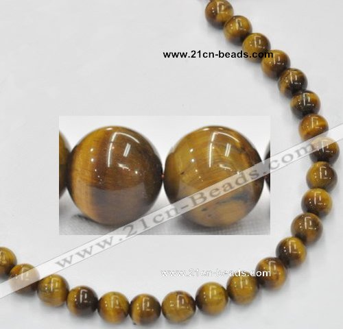 CTE08 15.5 inches 12mm round yellow tiger eye beads Wholesale