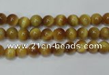 CTE127 15.5 inches 6mm round yellow tiger eye gemstone beads