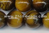 CTE1315 15.5 inches 16mm round B grade yellow tiger eye beads