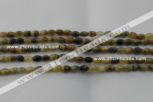 CTE1551 15.5 inches 5*8mm rice golden & blue tiger eye beads wholesale