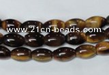 CTE158 15.5 inches 8*12mm rice yellow tiger eye gemstone beads