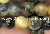 CTE2016 15.5 inches 8mm round golden & blue tiger eye beads wholesale