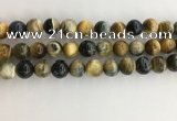 CTE2123 15.5 inches 12mm round golden & blue tiger eye beads