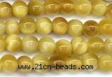 CTE2381 15 inches 4mm round golden tiger eye beads