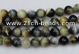 CTE551 15.5 inches 6mm round golden & blue tiger eye beads