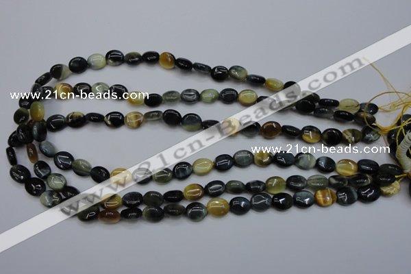 CTE568 15.5 inches 8*10mm oval golden & blue tiger eye beads